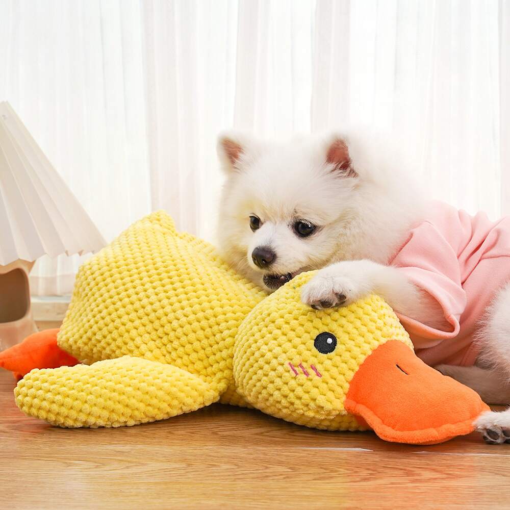 Oraventra® Calming Duck Toy