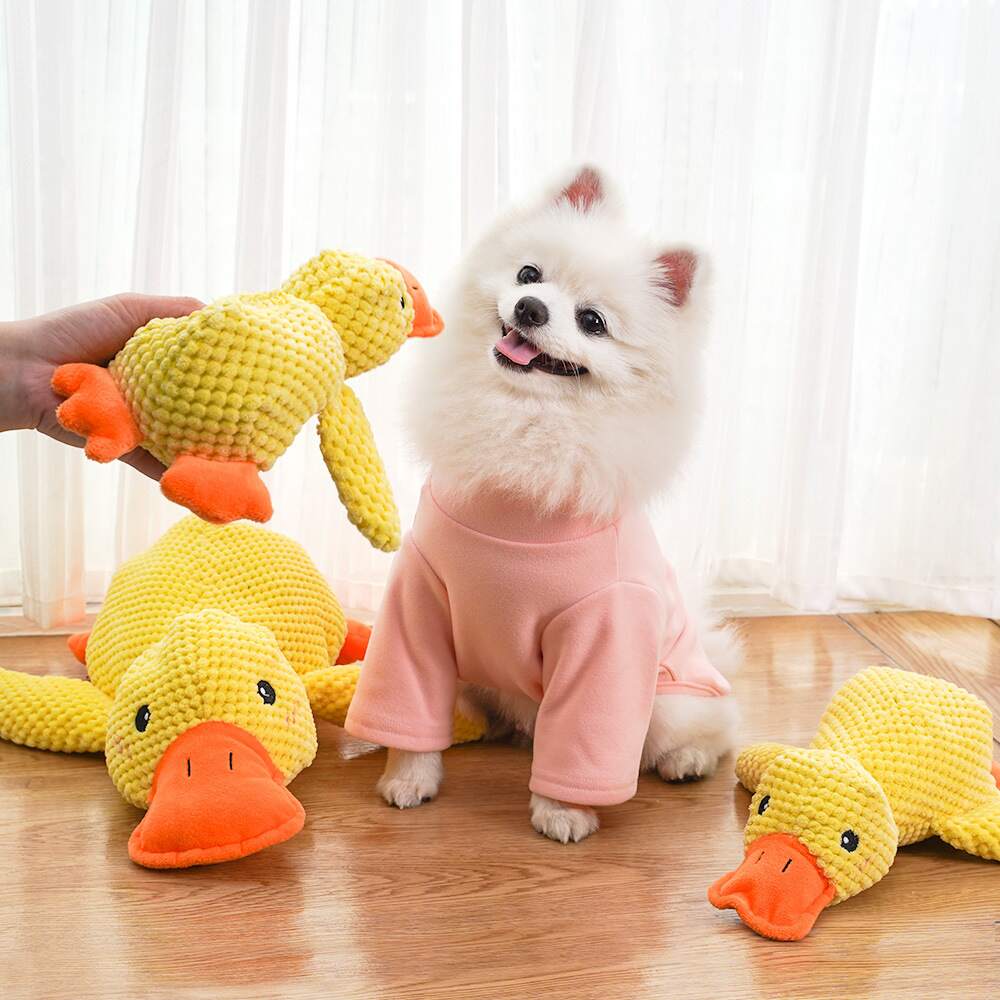 Oraventra® Calming Duck Toy