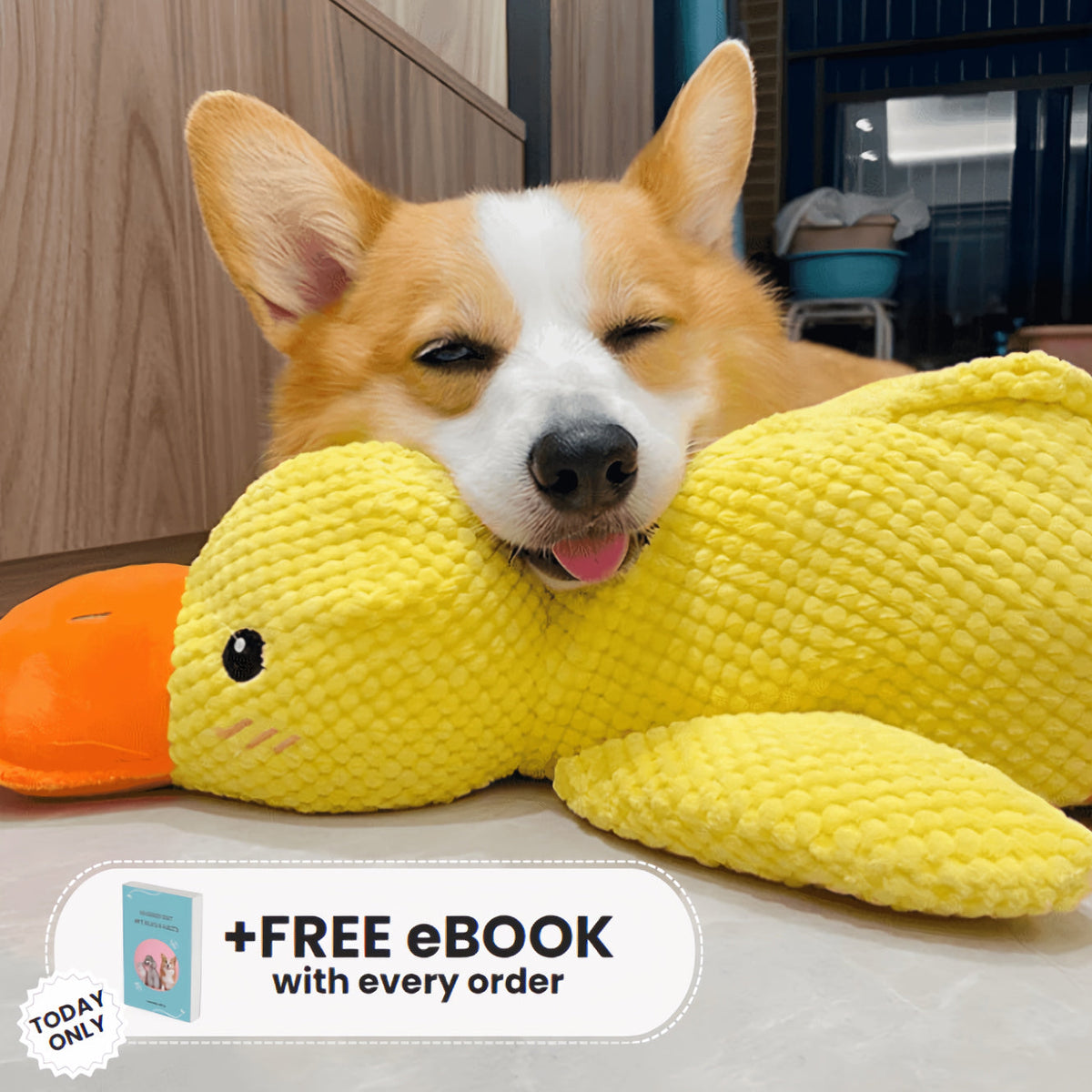 Oraventra® Calming Duck Toy