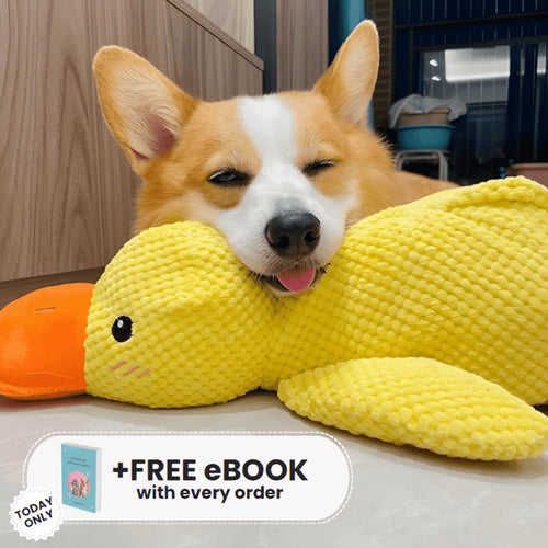 Oraventra® Calming Duck Toy