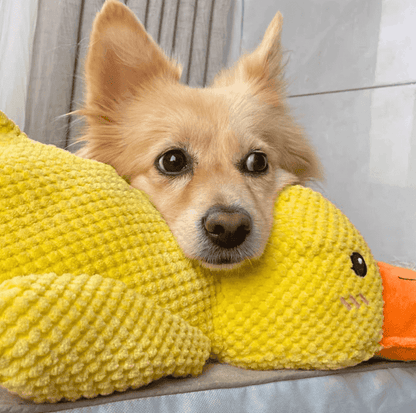 Oraventra® Calming Duck Toy