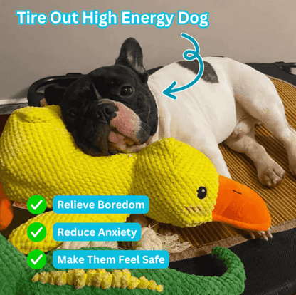 Oraventra® Calming Duck Toy