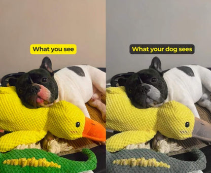 Oraventra® Calming Duck Toy