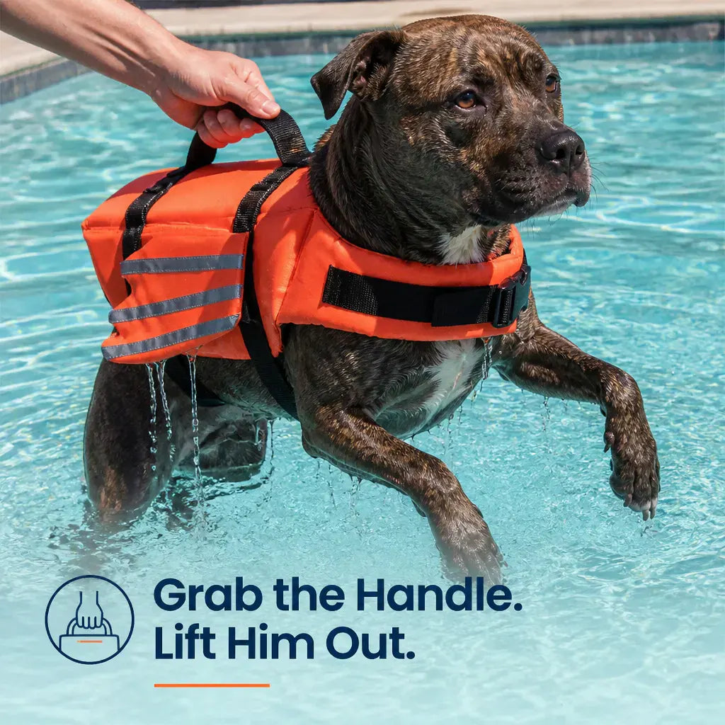 Oraventra™ - Premium Dog Life Jacket 2